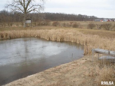 27507 E 1350th St, Geneseo, IL 61254 - photo 5