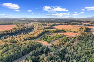 71.73 acres County Road 203, Dothan, AL 36301 - photo 5
