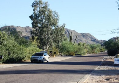 View from front