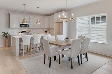 2025_08_August_6667_Dharma_Loop_0003