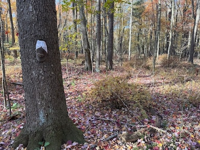 00 Shaffer Run Rd unit LotWP003, Oil City, PA 16301 - photo 5