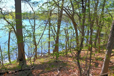 40039 County Road 17, Browerville, MN 56438 - photo 7