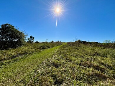 TBD Sharon Dr, Abbeville, AL 36310 - photo 2