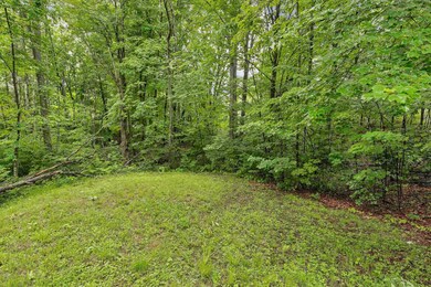 24 Meredith Center Rd, Meredith, NH 03253 - photo 5