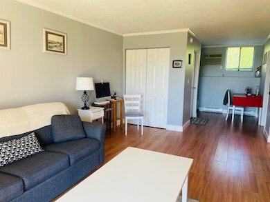 75 Treetop Cir unit 14, Laconia, NH 03246 - photo 3