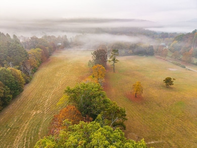 0 Big Draft Rd unit 25758620, White Sulphur Springs, WV 24986 - photo 3