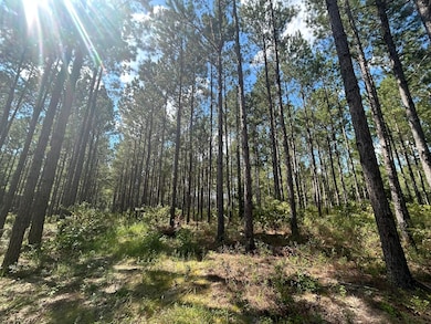 unlisted-address, Abbeville, AL 36310 - photo 3