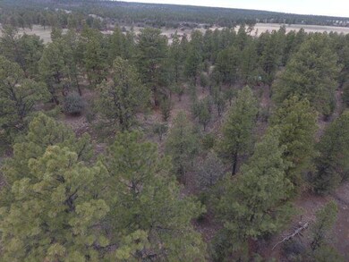 DJI_0002