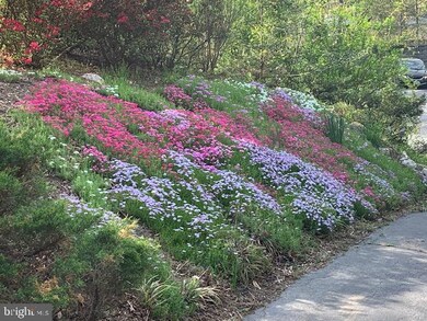 18334 Cato Ct, Triangle, VA 22172 - photo 7