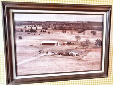 Beautiful vintage aerial