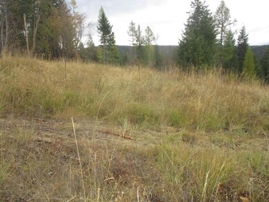 Nhn Damorecy Dr, Rollins, MT 59931 - photo 7