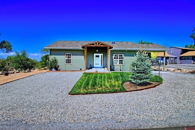 470 NE 4th St, Cedaredge, CO 81413 - photo 2