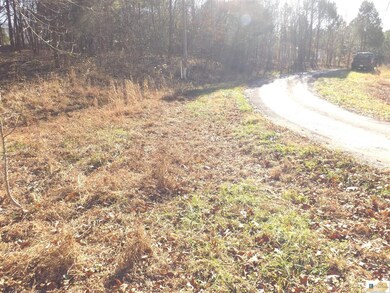 Lots 16R & 17R Runaway Dr, Fountain Run, KY 42133 - photo 4