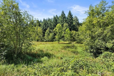 179 Halliday Rd, Centralia, WA 98531 - photo 2