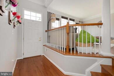 25142 Cutgrass Terrace, Stone Ridge, VA 20105 - photo 3