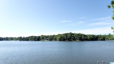 948 County Road 3292, Wedowee, AL 36278 - photo 2