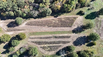 Aerial view of sparsely populated area featuring extensive farmland