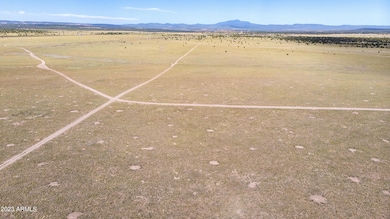000-D Kirby Lane Parcel D unit 58, Ash Fork, AZ 86320 - photo 7