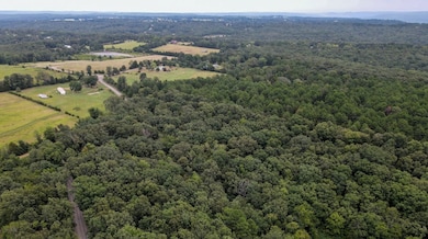 000 Merryman Rd, Formosa Township, AR 72031 - photo 7