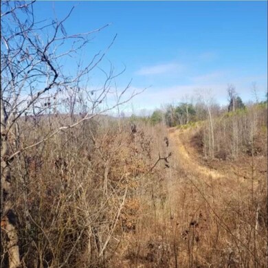 John Miller Rd 2
