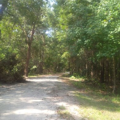 Preserve Rd toward cul-de-sac
