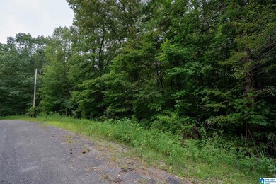 0 Penny Ln unit 21427542, Odenville, AL 35120 - photo 2