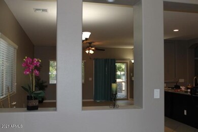 1187 W Popcorn Tree Ave, San Tan Valley, AZ 85140 - photo 6