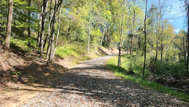 929 Poplar Ridge Rd unit (Ponds Poplar Ridge, Gallipolis, OH 45631 - photo 6