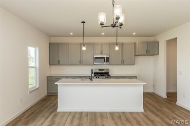 215 Townshead Way, O'Fallon, MO 63368 - photo 4