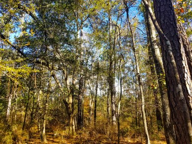 Cannon Road Tract (5)-2