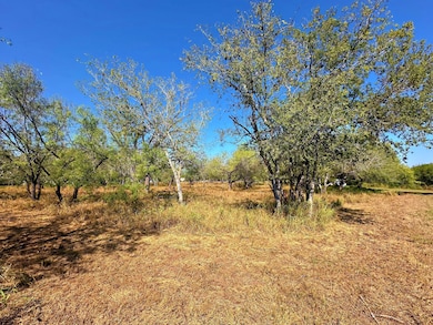 215 E College St, Pleasanton, TX 78064 - photo 6