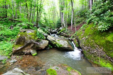 207 Woodwinds Ln, Seven Devils, NC 28604 - photo 7