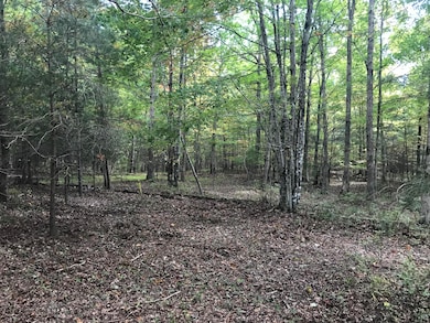 57 Deer Point Dr, Dunlap, TN 37327 - photo 2