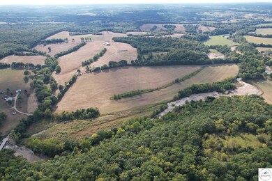 442 Tavern Creek Rd, Iberia, MO 65486 - photo 7