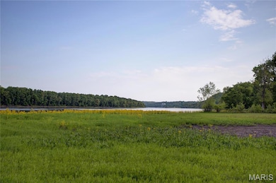 1218 N Park St, Hardin, IL 62047 - photo 6