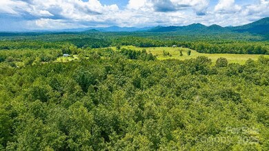 TBD Crutchfield Rd, Union Mills, NC 28167 - photo 5