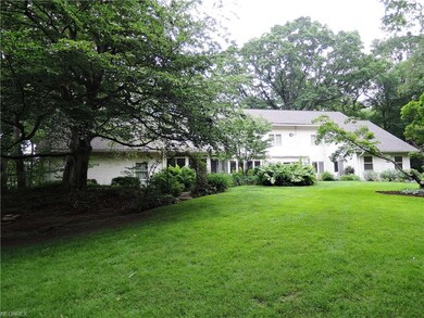 Backyard view of home and foliage