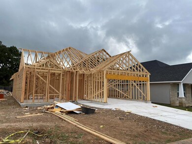 214 Winston Dr, Fredericksburg, TX 78624 - photo 4