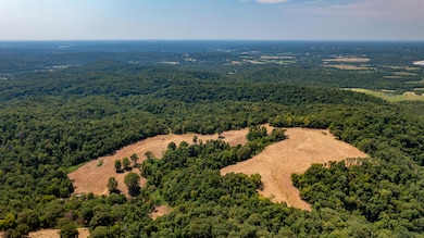 000 Neon Sky Dr, Pineville, MO 64856 - photo 3