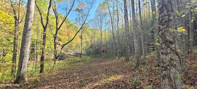 PAR 033.01 S Highway 32, Cosby, TN 37722 - photo 3