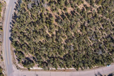 3 Blue Gramma Ct, Woodlands, NM 87059 - photo 4