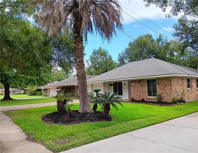 Front angle view of home featuring palm trees and Anderson windows