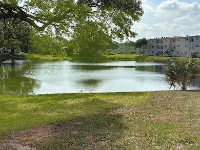 View of the Lake