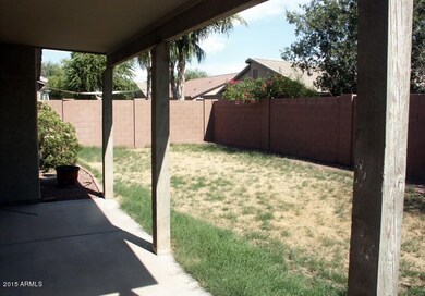 Back Yard1