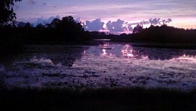 Lakeview