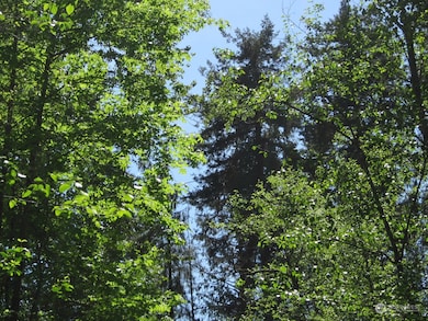 20633 SE 388th St, Enumclaw, WA 98022 - photo 5