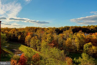 9500 Side Brook Rd unit 504, Owings Mills, MD 21117 - photo 4