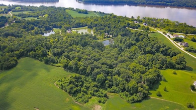 319 Deer Trail St, Golden Eagle, IL 62036 - photo 3