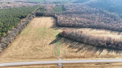 00 Arkansas 124, Cleveland, AR 72030 - photo 2