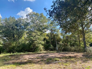 137 Old Creek Rd, Picayune, MS 39466 - photo 5